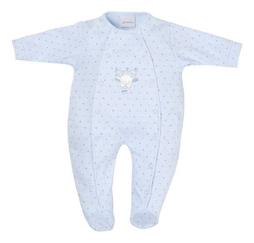 Dandelion baby boys prem babygrow 5-8lb